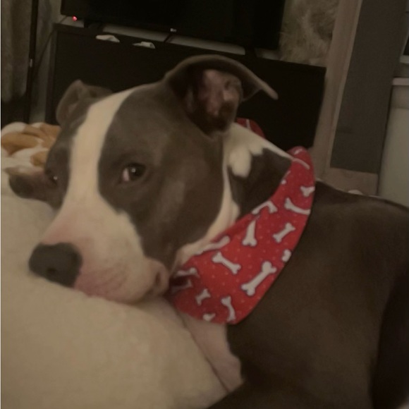 Meet your Posher, Kourtney - Picture 16 of 16